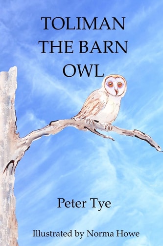 Toliman the Barn Owl