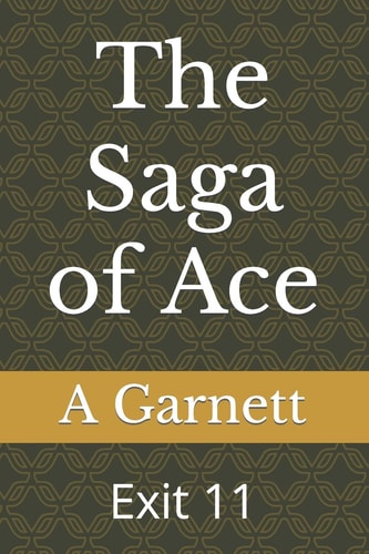 The Saga of Ace Exit 11