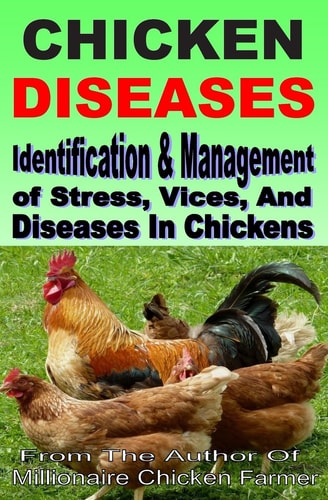 Chicken Diseases Identification And Management of Stress, Vices, And Diseases In Chickens