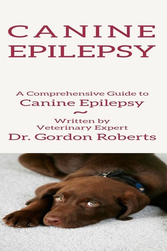 Canine Epilepsy A Comprehensive Guide To Canine Epilepsy