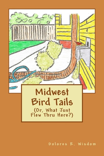 Midwest Bird Tails (Or, What Just Flew Thru Here?)