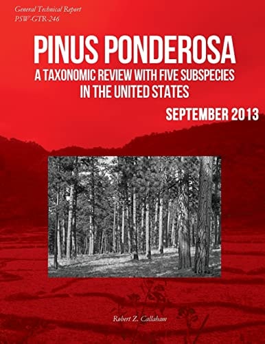 Pinus Ponderosa A Taxonomic Review With Five Subspecies in the United States