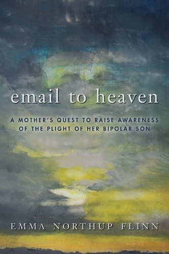 Email to Heaven A Mother's Quest to Raise Awareness of the Plight of Her Bipolar Son