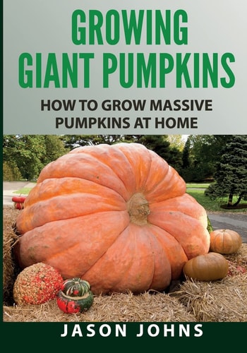 Growing Giant Pumpkins - How To Grow Massive Pumpkins At Home Secrets For Championship Winning Giant Pumpkins