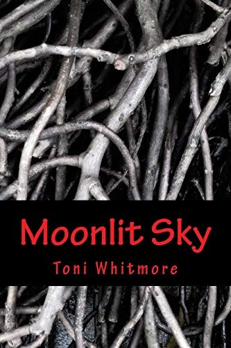 Moonlit Sky