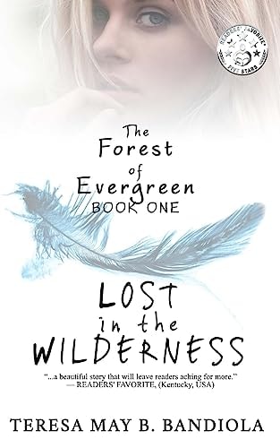 The Forest of Evergreen Lost in the Wilderness