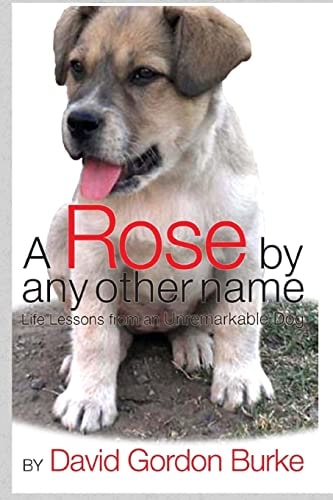 A Rose by Any Other Name Life Lessons from an Unremarkable Dog