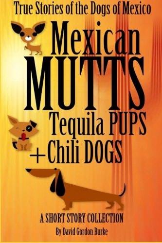 Mexican Mutts Tequila Pups and Chili Dogs True Stories of the Dogs of Mexico