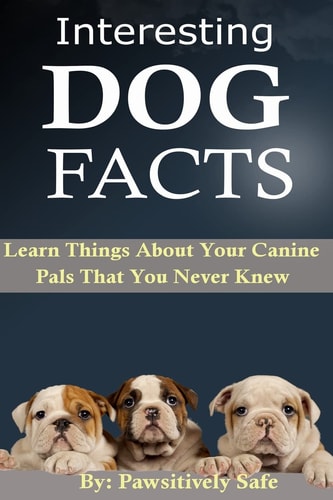 Interesting Dog Facts Learn Things About Your Canine Pals That You Never Knew