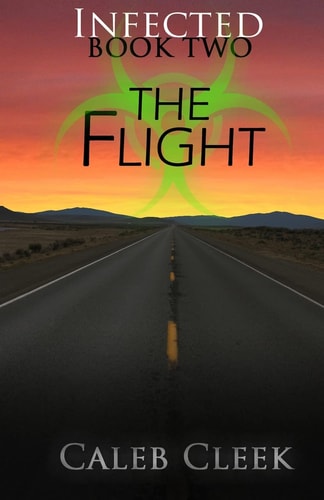 The Flight