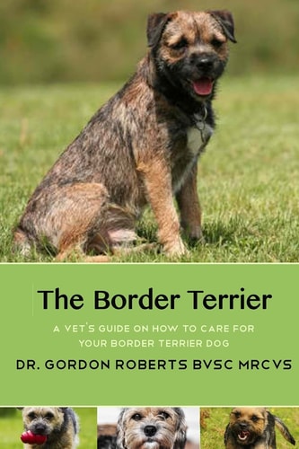 The Border Terrier A Vet's Guide on How to Care for Your Border Terrier Dog