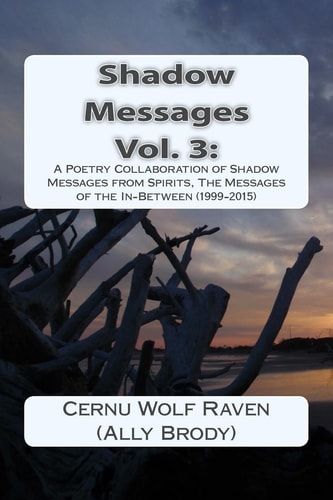 Shadow Messages Vol. 3 : A Poetry Collaboration of Shadow Messages from Spirits, The Messages of the In-Between (1999-2015)