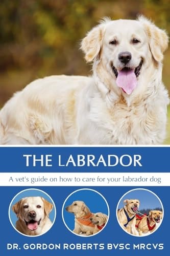 The Labrador A Vet's Guide on How to Care for Your Labrador Dog