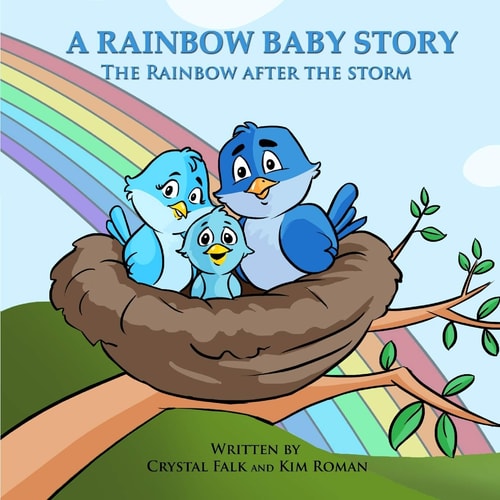 A Rainbow Baby Story The Rainbow After the Storm