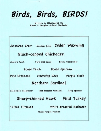 Birds, Birds, BIRDS!