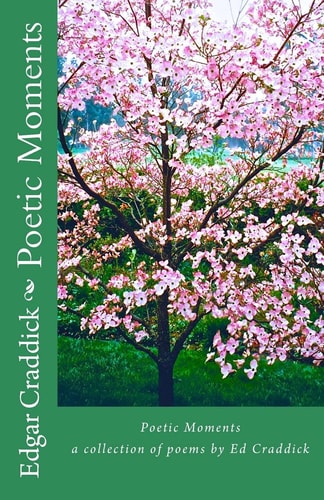 Poetic Moments