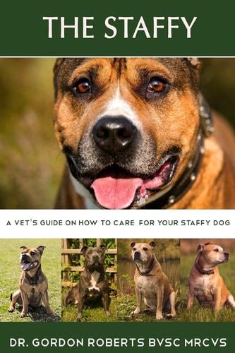 The Staffy A Vet's Guide on How to Care for Your Staffy Dog