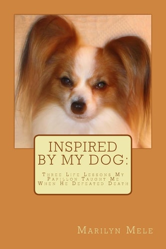 Inspired By My Dog Three Life Lessons My Papillon Taught Me When He Defeated Death