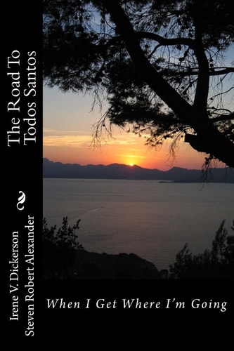 The Road To Todos Santos