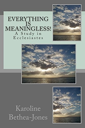 Everything Is Meaningless! A Study in Ecclesiastes