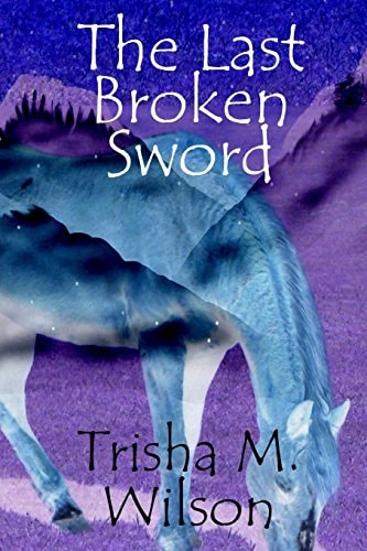 The Last Broken Sword
