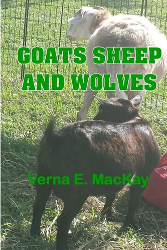 Goats Sheep And Wolves