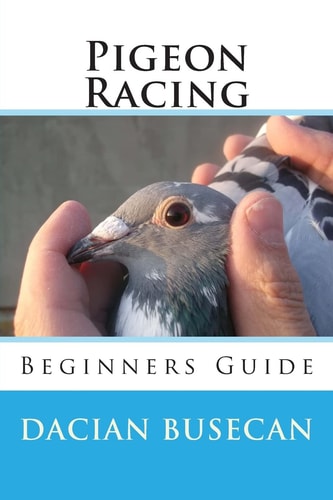 Pigeon Racing Beginners Guide
