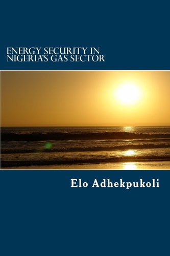Energy Security In Nigeria's Gas Sector