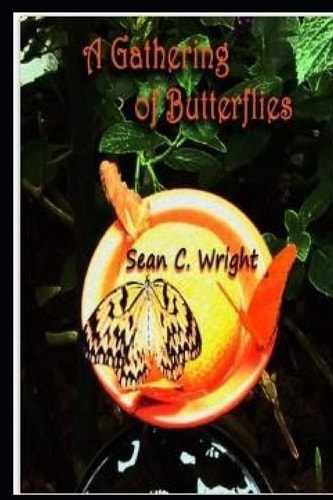 A Gathering of Butterflies