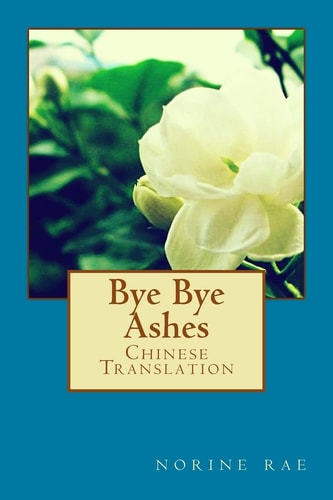 Bye Bye Ashes Finding True Love: a Cinderella Tale