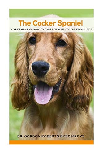 The Cocker Spaniel A Vet's Guide on How to Care for Your Cocker Spaniel Dog