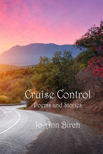 Cruise Control Poems and Stories