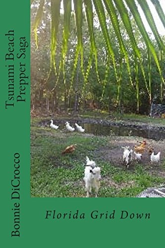 Tsunami Beach Prepper Saga Florida Grid Down
