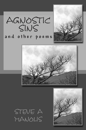 Agnostic Sins Poetry of Personal Sins