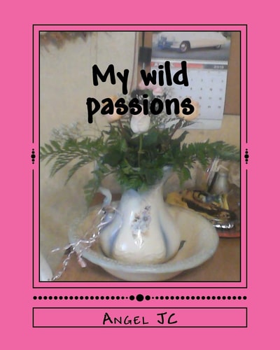 My Wild Passions Out of the Mind of Maddness Series