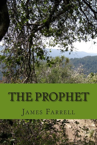 The Prophet A Superhero Novel