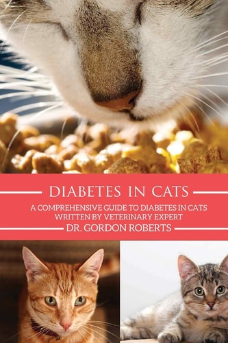 Diabetes in Cats A Comprehensive Guide to Diabetes in Cats