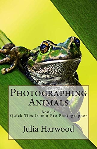 Photographing Animals Book 5