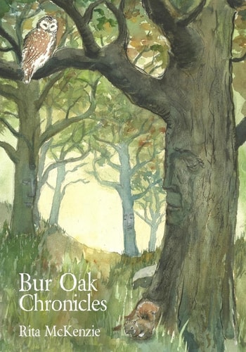 Bur Oak Chronicles