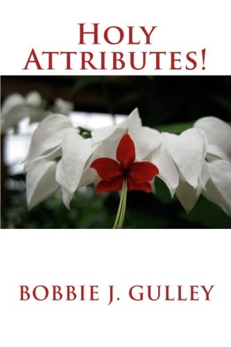 Holy Attributes!