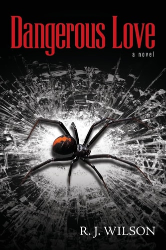 Dangerous Love A Novel