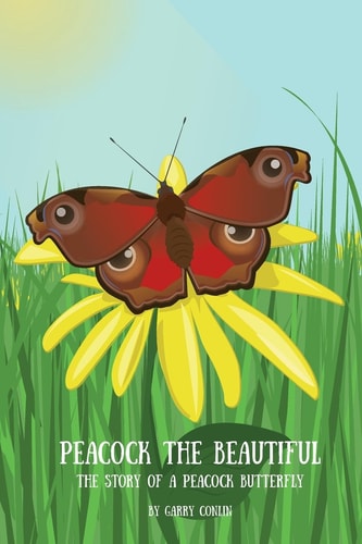 Peacock the Beautiful The Story of a Peacock Butterfly
