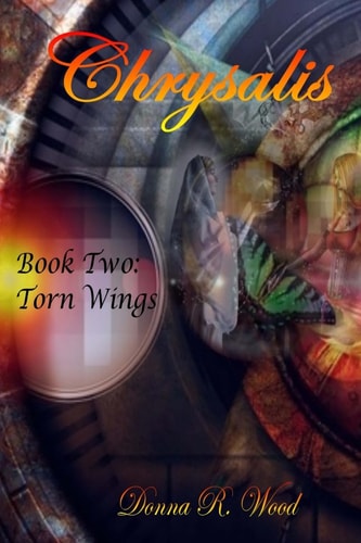Torn Wings
