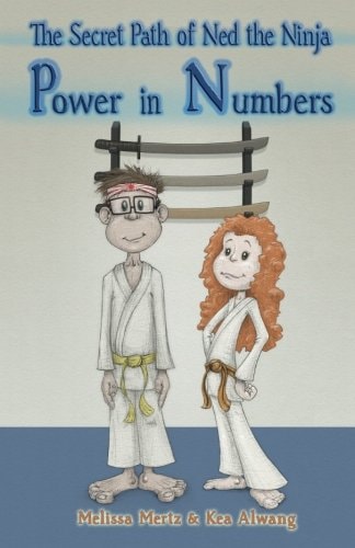 The Secret Path of Ned the Ninja Power in Numbers