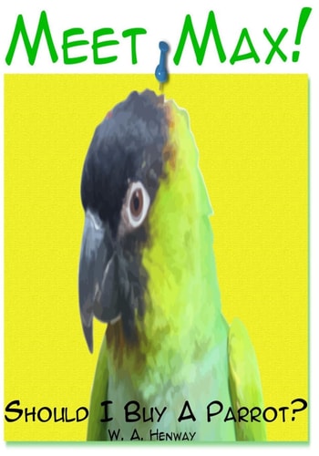 Meet Max! Should I Buy a Parrot?
