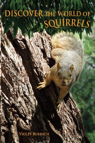 Discover the World of Squirrels Illustrated Kids Book With Fun Facts About Squirrels And Builds Kids Vocabulary