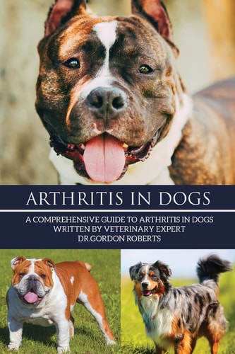 Arthritis in Dogs A Comprehensive Guide to Arthritis in Dogs