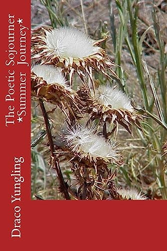 The Poetic Sojourner *Summer Journey*