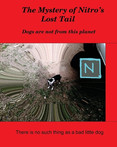 The Mystery of Nitro's Lost Tail There Is No Such Thing As a Bad Little Dog