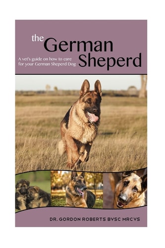 The German Shepherd A Vet's Guide on How to Care For Your German Shepherd Dog